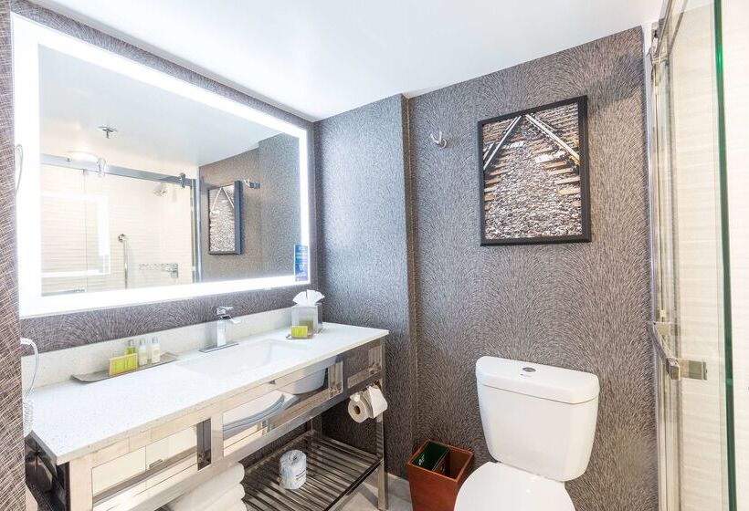 هتل Doubletree By Hilton Dallas Richardson