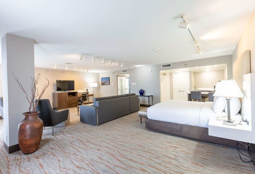 هتل Doubletree By Hilton Dallas Richardson