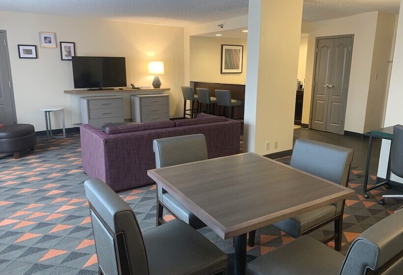 هتل Holiday Inn Asheville  Biltmore West