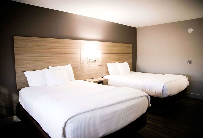 هتل La Quinta By Wyndham Joplin