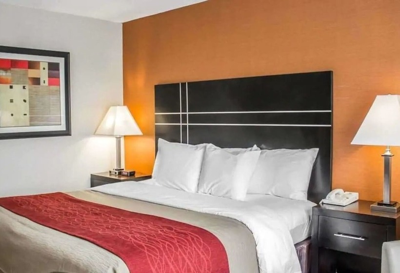 호텔 Norwood Inn & Suites North Conference Center