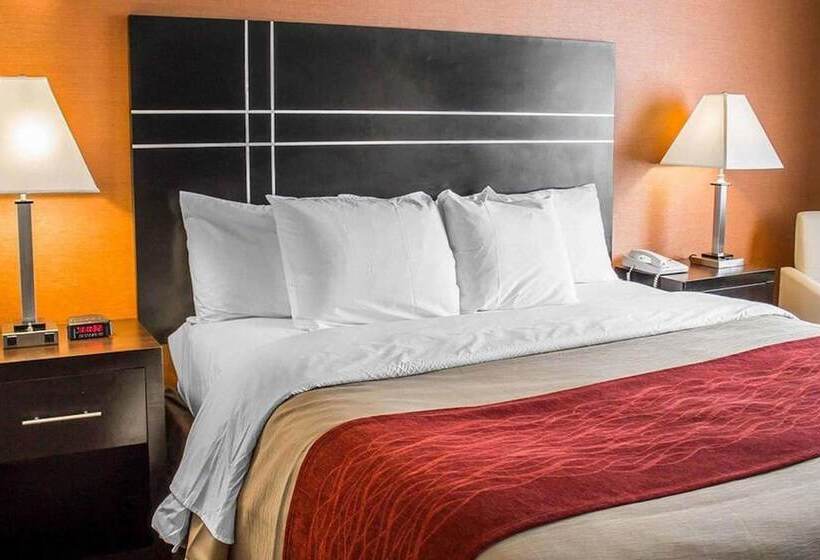 호텔 Norwood Inn & Suites North Conference Center