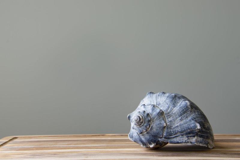 هتل Princess Royale Oceanfront Resort