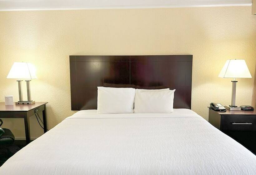 Fotos del hotel Quality Inn At International Drive Orlando:  3