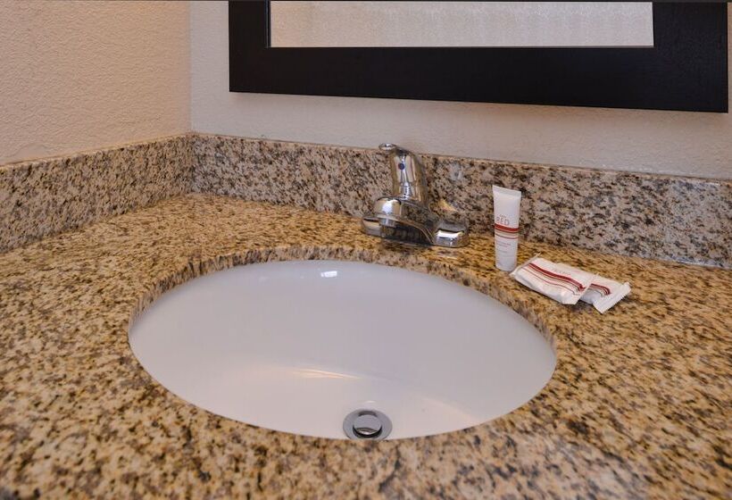 酒店 Red Roof Inn Champaign University