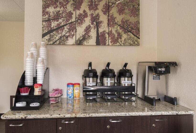 בית מלון כפרי Red Roof Inn Chicago Ohare Airport Arlington Hts