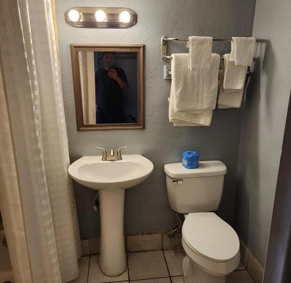 ホテル Regency Inn   Fort Sam Houston