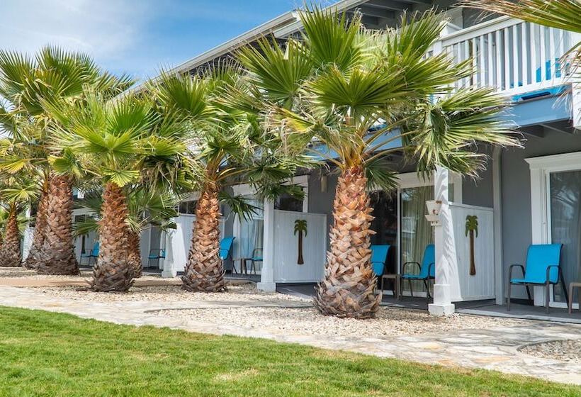 ホテル San Simeon Lodge