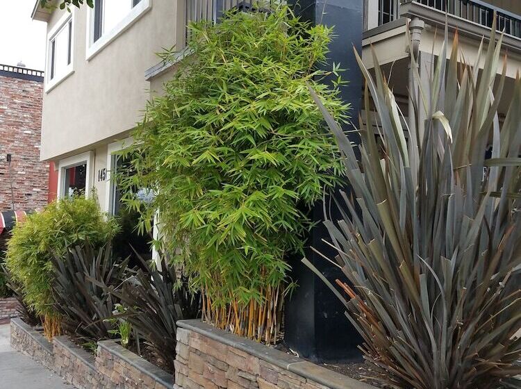 Fotos del hotel Travelodge By Wyndham San Francisco Bay:  4