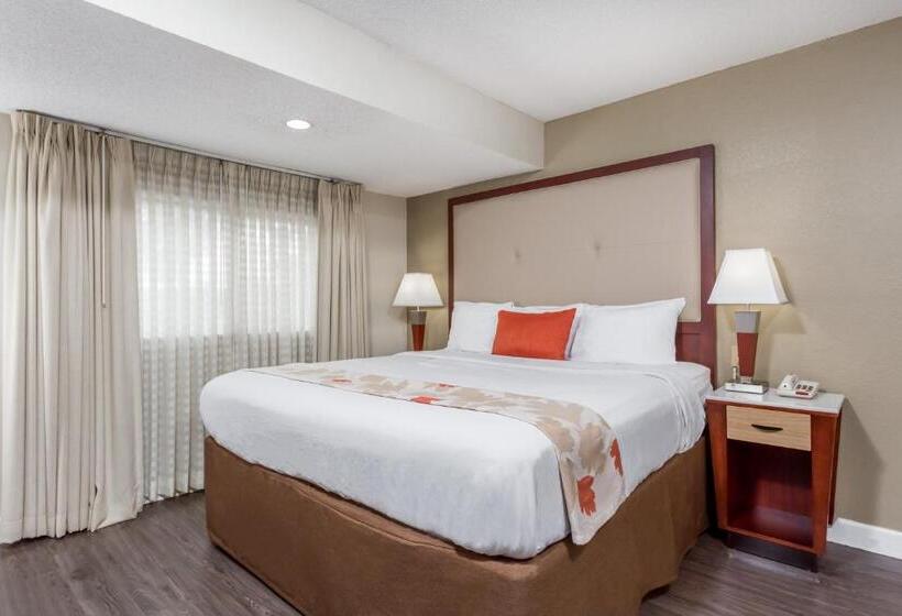 اقامتگاه Hawthorn Suites By Wyndham North Charleston Sc