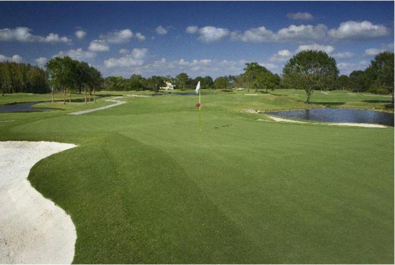 Saddlebrook Golf Resort & Spa Tampa North Wesley Chapel