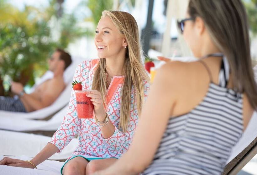 Saddlebrook Golf Resort & Spa Tampa North Wesley Chapel