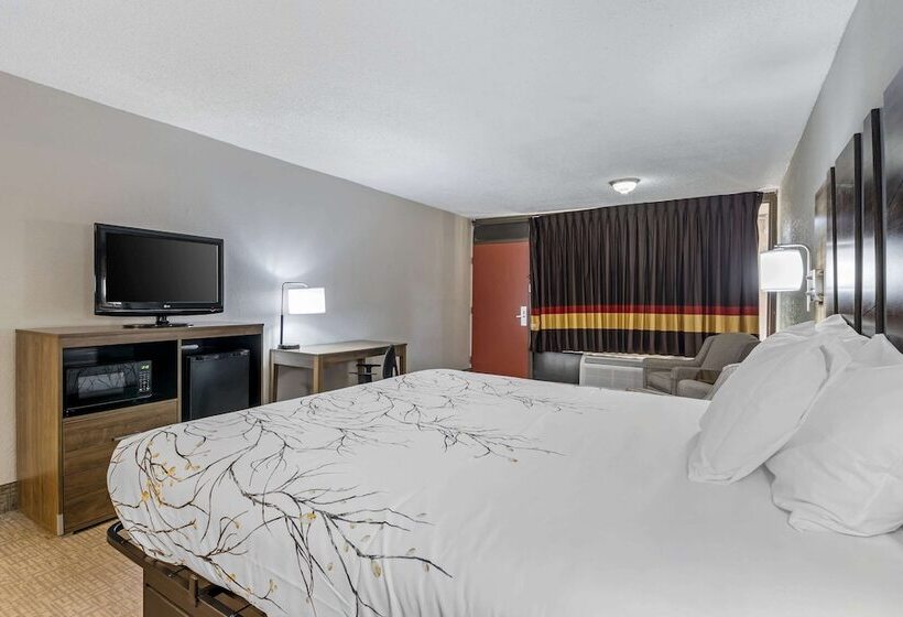 בית מלון כפרי Rodeway Inn