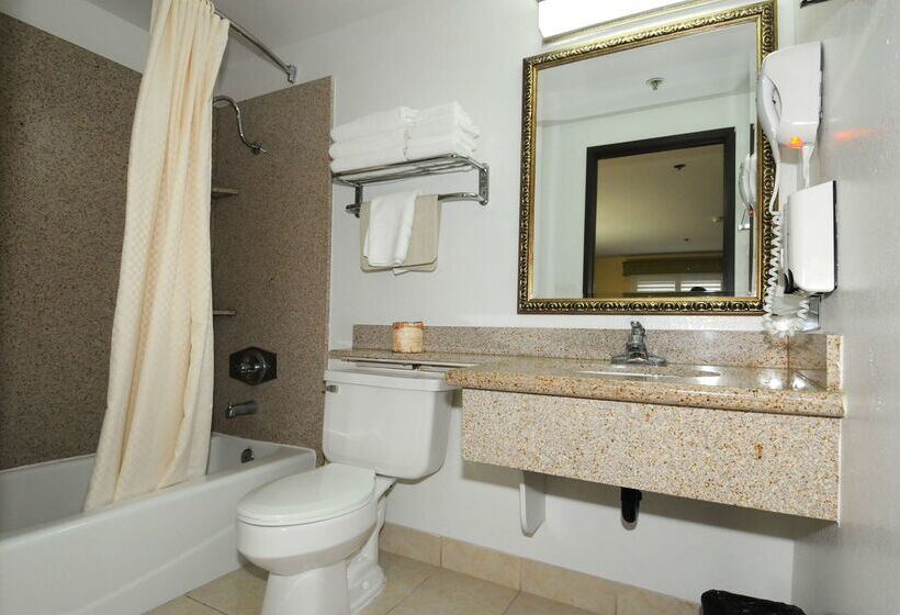 Отель Best Western Antelope Inn & Suites