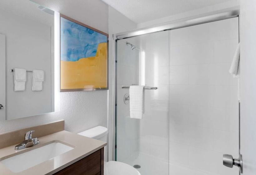 Отель Comfort Inn Detroit Troy