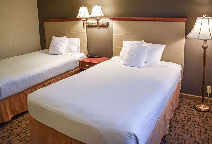 ホテル Comfort Inn & Suites Downtown Tacoma