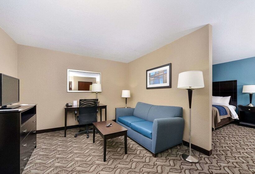 هتل Comfort Inn & Suites Springfield I55