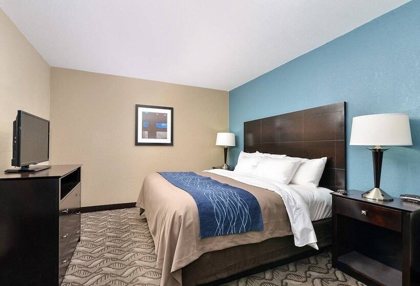هتل Comfort Inn & Suites Springfield I55