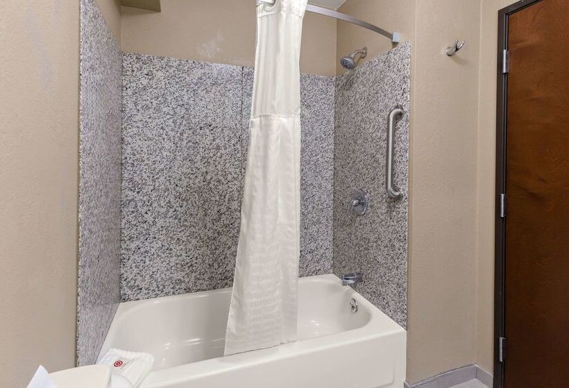 هتل Comfort Inn & Suites Springfield I55