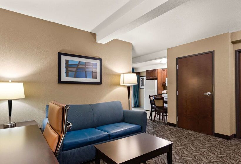 هتل Comfort Inn & Suites Springfield I55