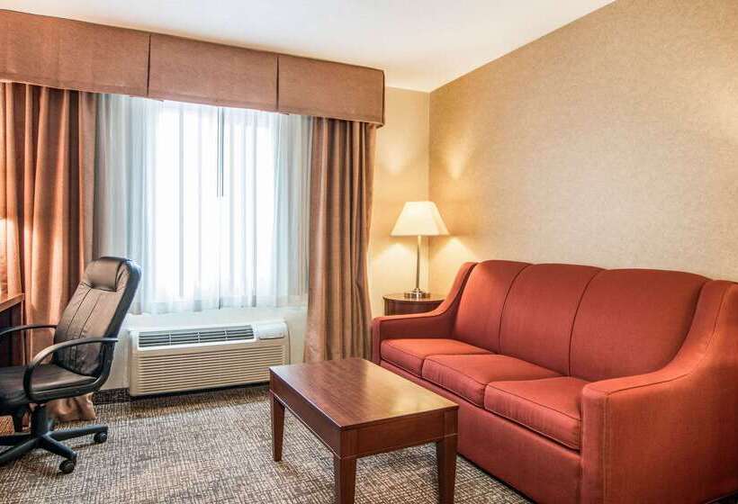 هتل Comfort Inn & Suites Vancouver Downtown City Center