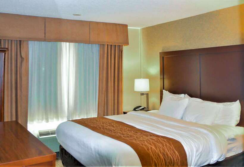 هتل Comfort Inn & Suites Vancouver Downtown City Center