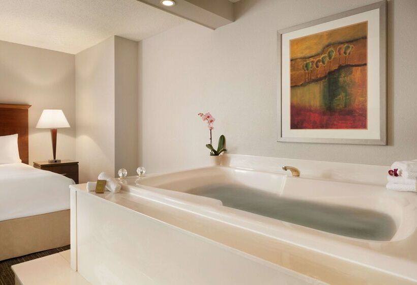 هتل Doubletree By Hilton Minneapolis Park Place