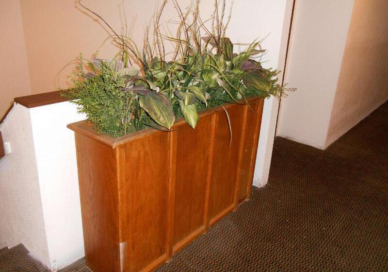 فندق Guesthouse Eugene Springfield