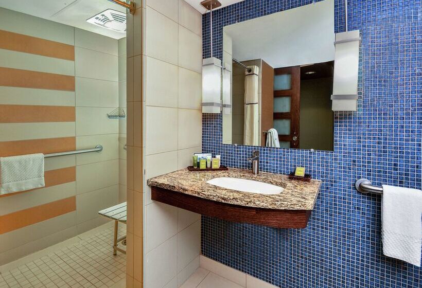 هتل Hilton Palacio Del Rio