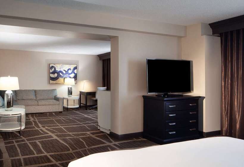 호텔 Hilton St. Petersburg Bayfront