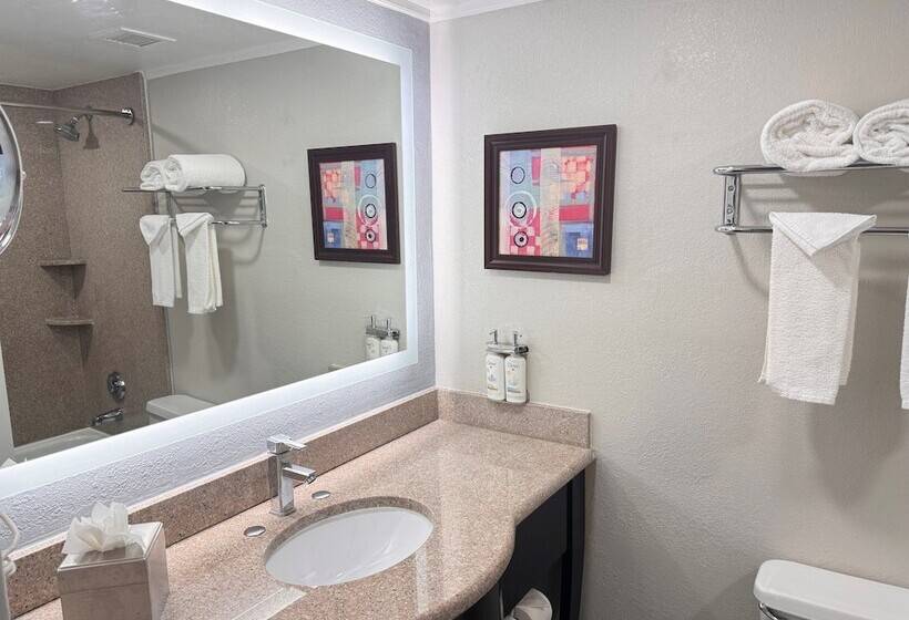 Fotos del hotel Holiday Inn Orlando East-ucf Area, An Ihg:  39