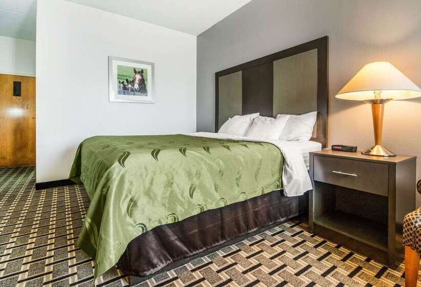 Отель Quality Inn Lexington East Hamburg Area