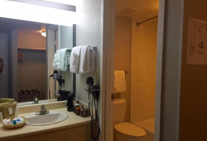 酒店 Ramada By Wyndham Nashville/music Valley