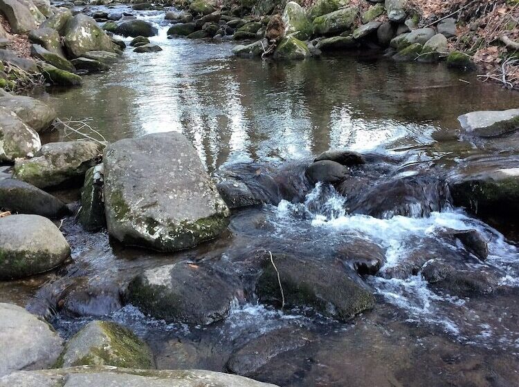 فندق Sidney James Mountain Lodge