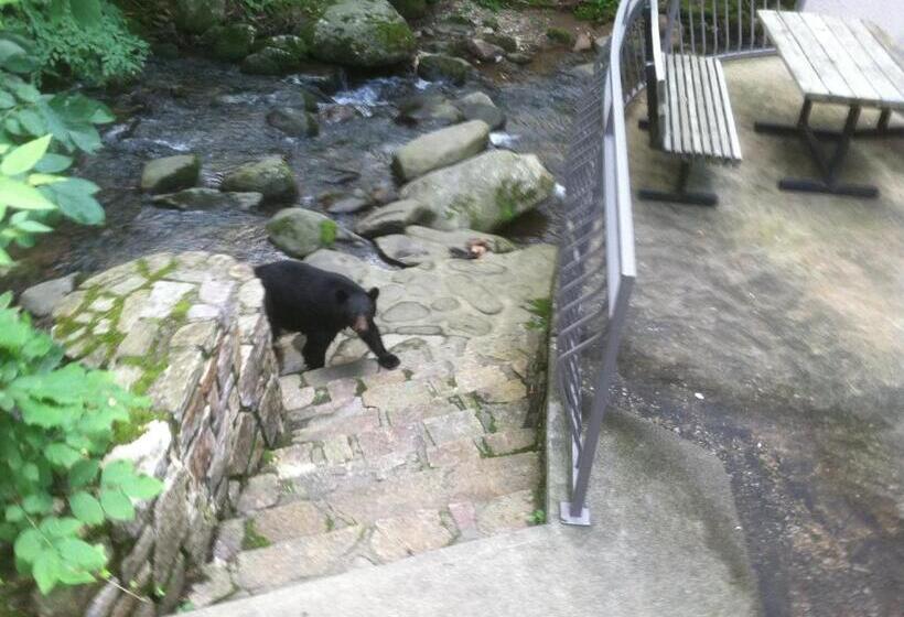 فندق Sidney James Mountain Lodge