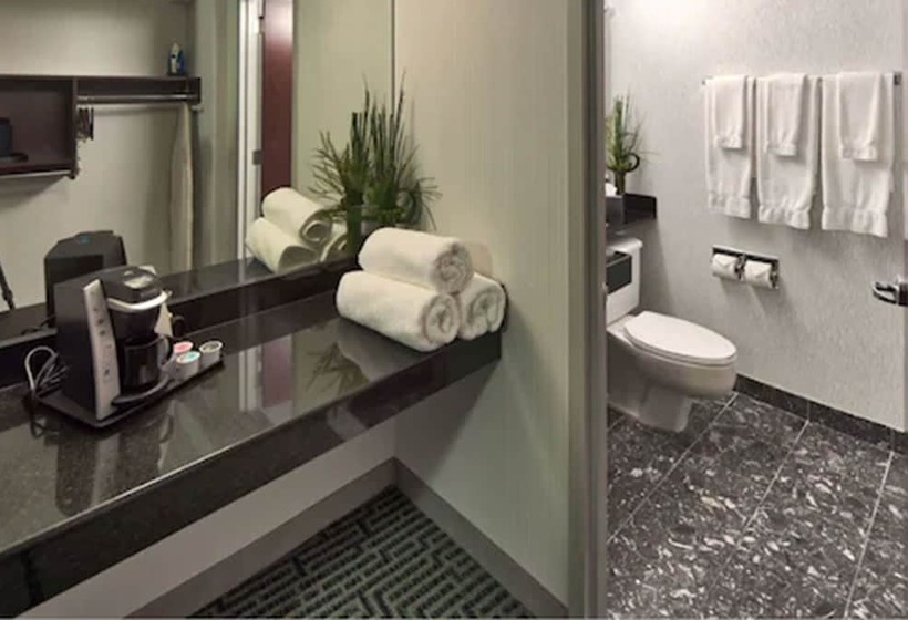 בית מלון כפרי Somerset Inn Troy