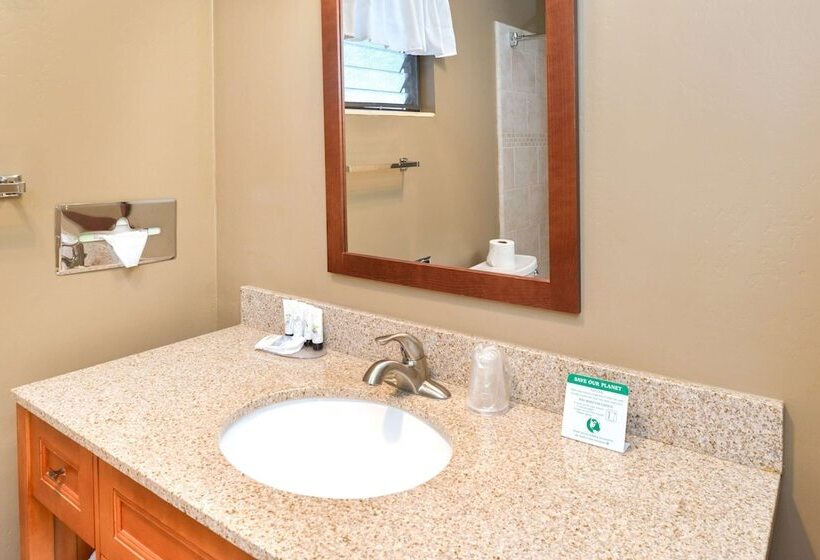هتل Svendsgaard S Lodge Americas Best Value Inn & Suites