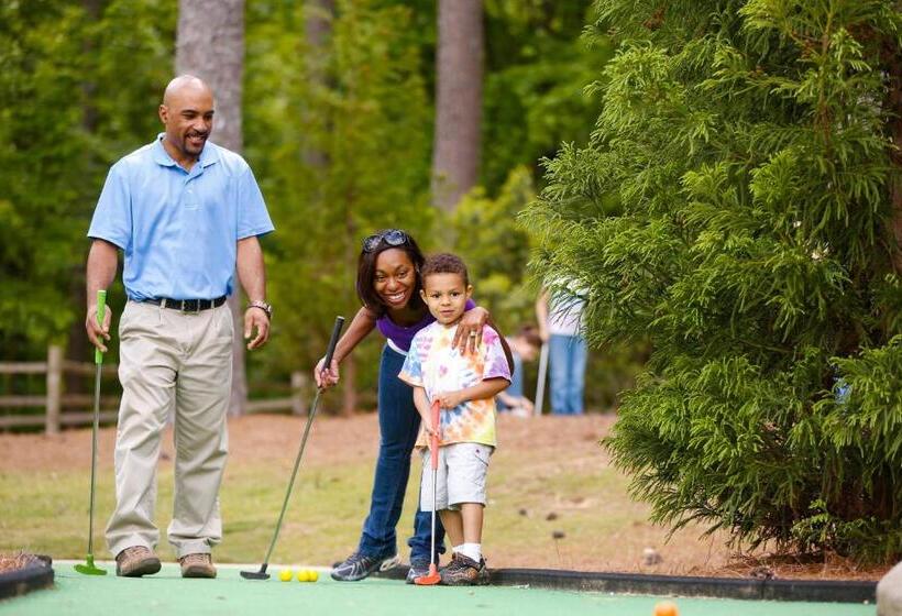 호텔 The Inn at Stone Mountain Park