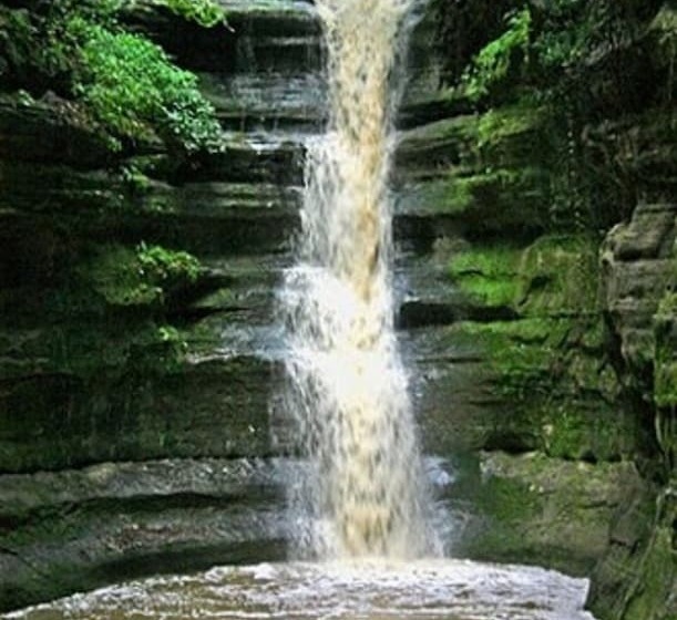 汽车旅馆  Super 8 By Wyndham Ottawa Starved Rock