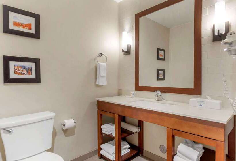 هتل Comfort Suites St George  University Area