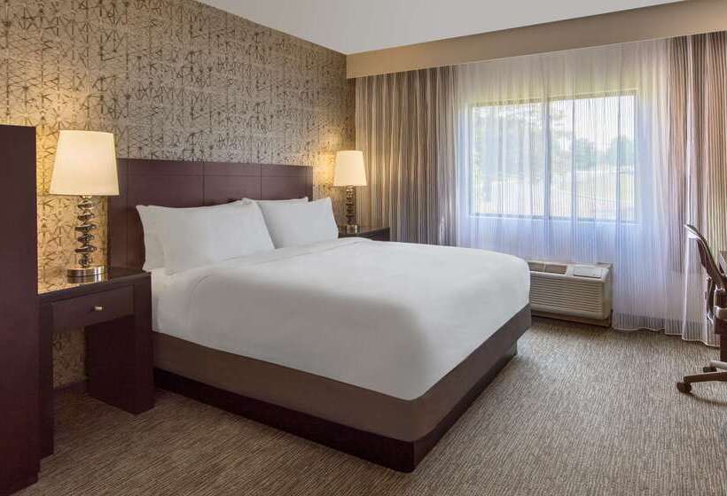 Hotel Doubletree By Hilton  Chicago Wood Daleelk Grove