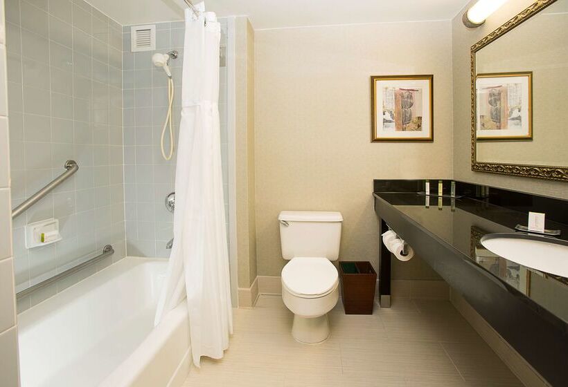בית מלון כפרי Doubletree By Hilton  Detroit  Novi