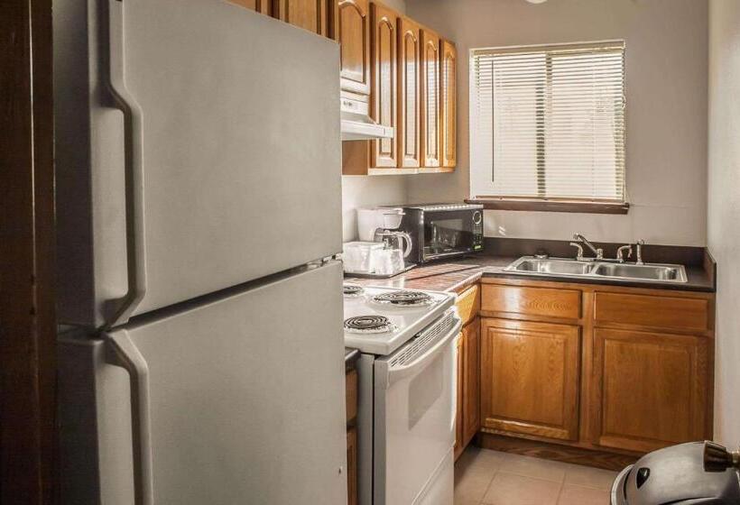 فندق Econo Lodge Inn & Suites