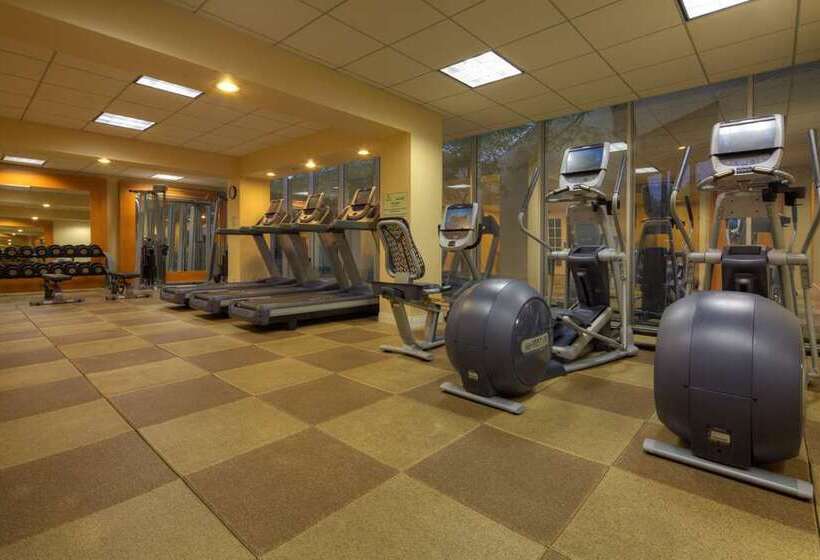 Fotos del hotel Hilton Houston Westchase:  2