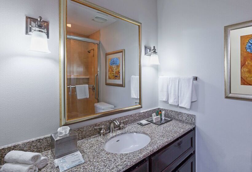 هتل Hilton Waco