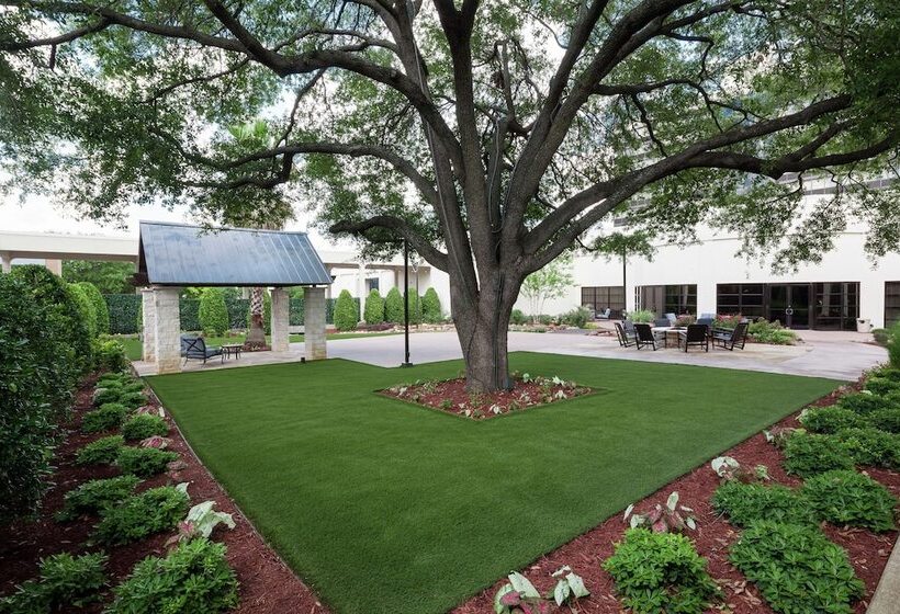 هتل Hilton Waco