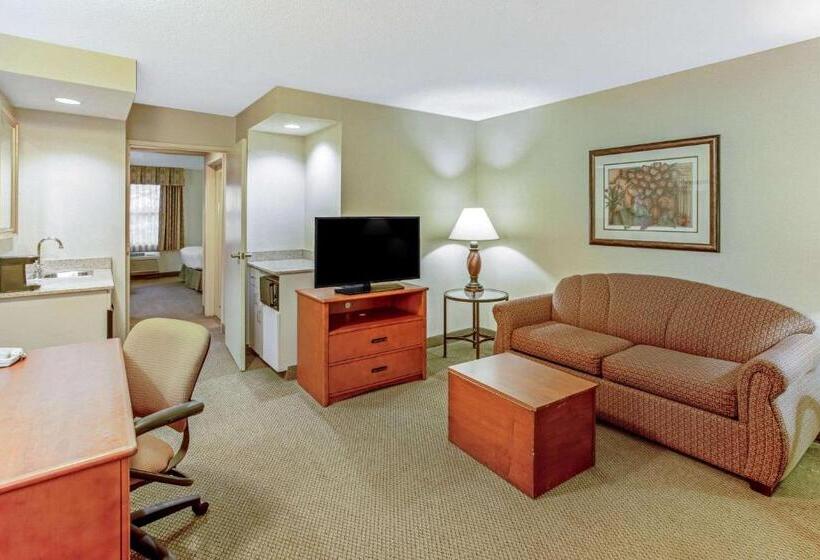 هتل La Quinta By Wyndham Appleton College Avenue