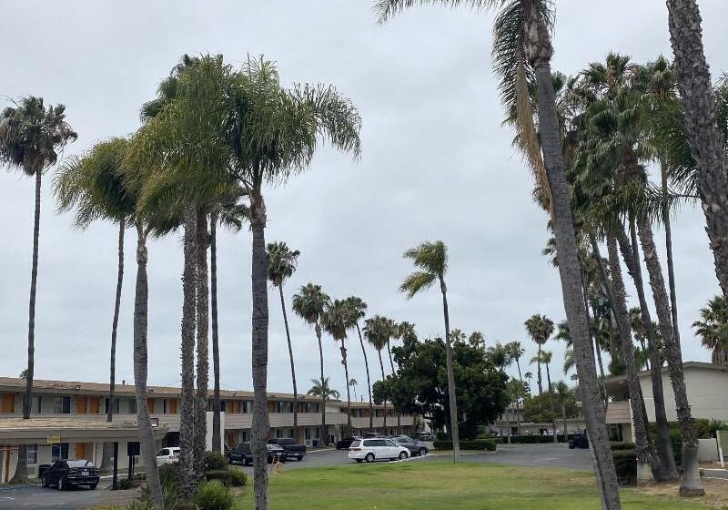 호텔 Palmeras Chula Vista