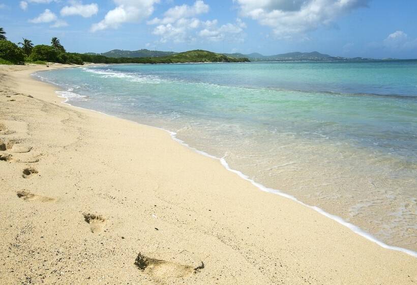 هتل The Buccaneer Beach & Golf Resort