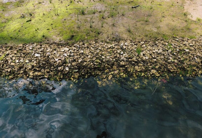 酒店 The Tides Inn